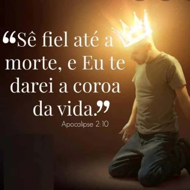 Ser Fiel Até A Morte — grupos de WhatsApp