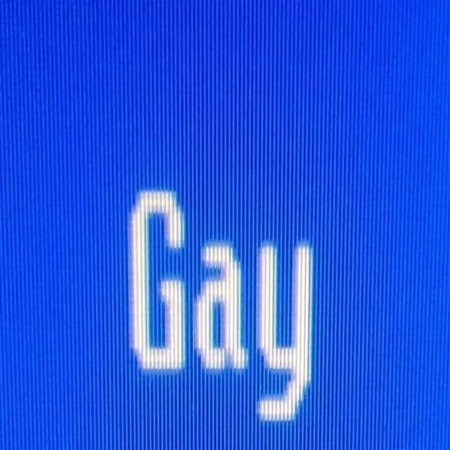 Dos Gays — grupos de WhatsApp