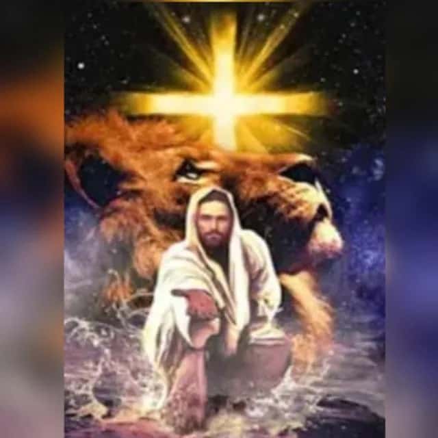 Palavra De Vida — grupos de WhatsApp