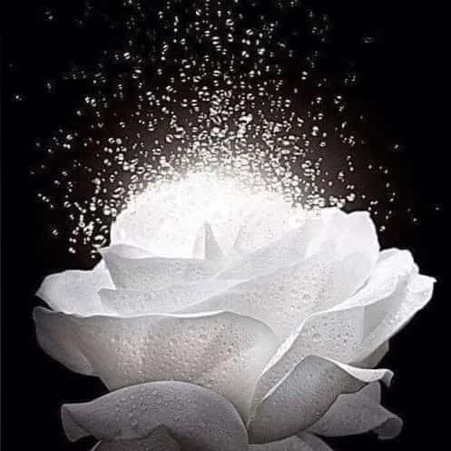 DNA Cristico Amor e Luz — grupos de WhatsApp