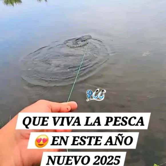 Antofagasta, Amistad, Copete y Pesca — grupos de WhatsApp