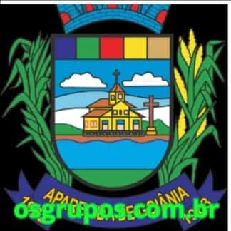 Aparecida de Goiânia — grupos de WhatsApp