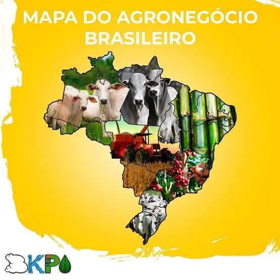 Agribusiness Commodities — grupos de WhatsApp