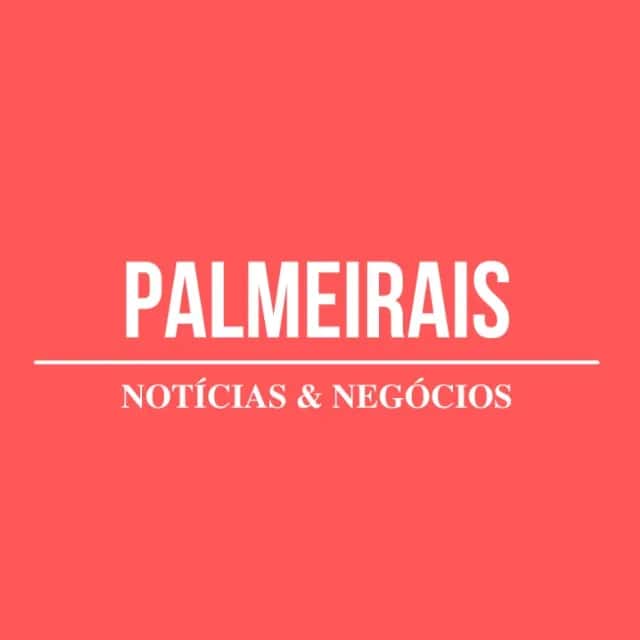 Palmeirais - Notícias e Negócios — grupos de WhatsApp