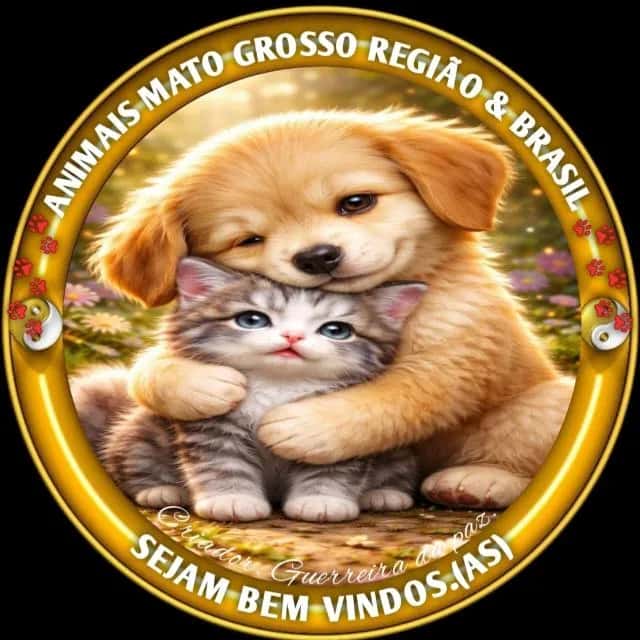 Animais, Aves e Plantas de Mato Grosso e Brasil — grupos de WhatsApp