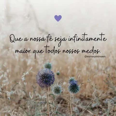 Frases Imagens e Vídeos — grupos de WhatsApp