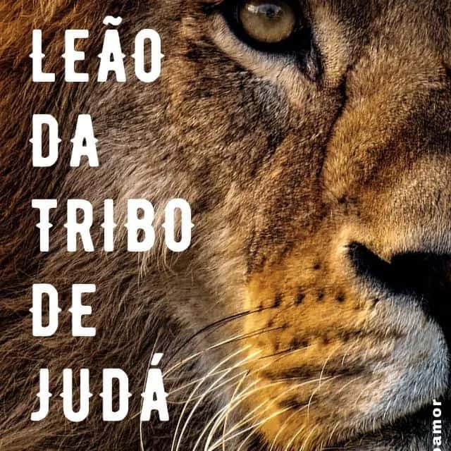 Leao Da Tribo De Juda Ofc — grupos de WhatsApp