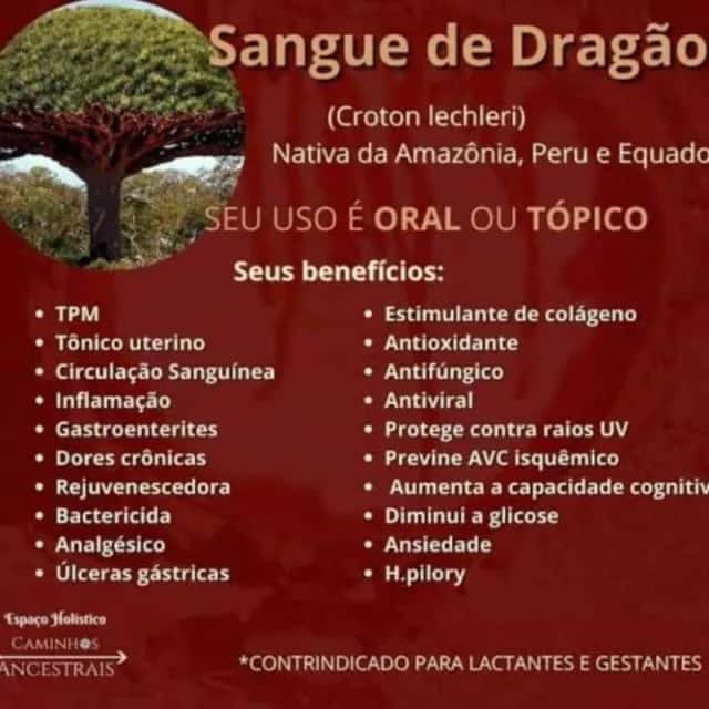 Naturopatia De Deus: Curando Você — grupos de WhatsApp