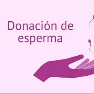 Mujeres con o sin novio y lesbianas, buscan donantes de esperma para ser madres, en Bs As, Argentina — grupos de WhatsApp