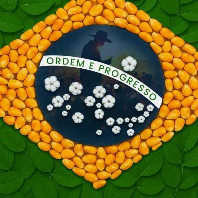 Direita X Esquerda Mani — grupos de WhatsApp