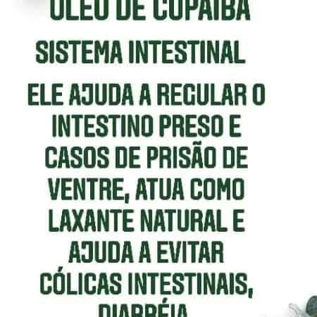 Medicina Natural de Deus Curando Você — grupos de WhatsApp