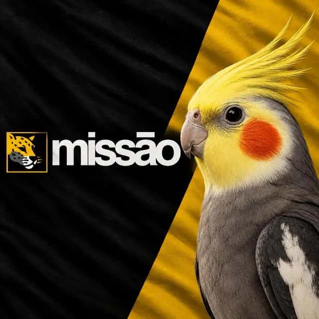 UNC – União Das Nações Calopsita | Missão — grupos de WhatsApp
