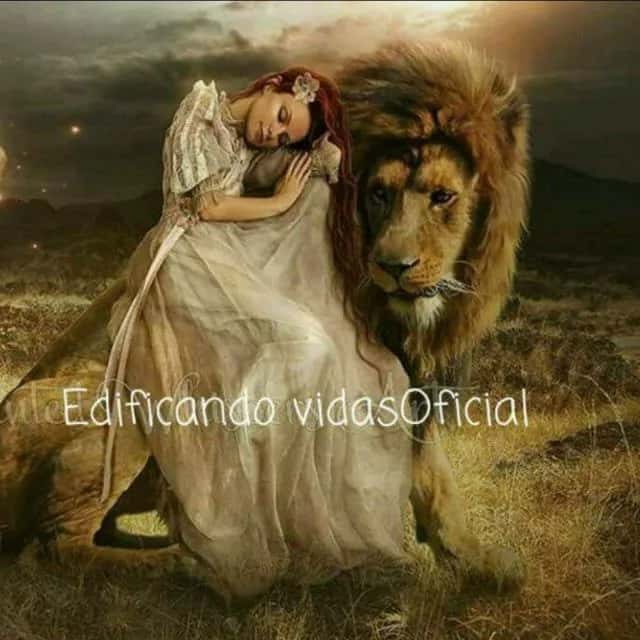 Edificando Vidas Oficial — grupos de WhatsApp