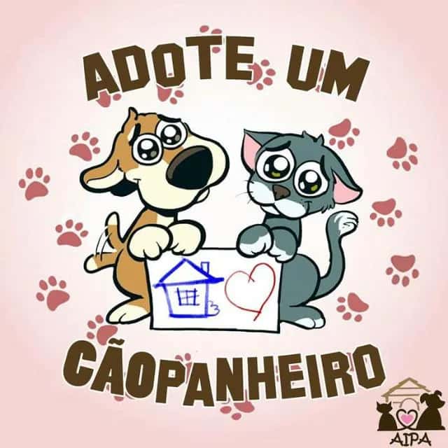 Adoção É Amor — grupos de WhatsApp