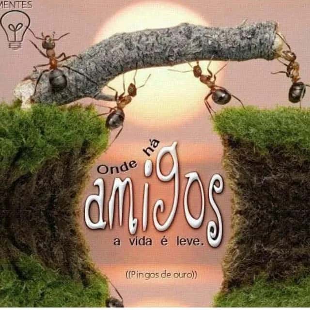 Amizades & Videos — grupos de WhatsApp
