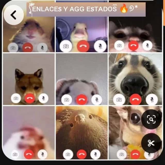 Enlaces Y Agg Estados — grupos de WhatsApp