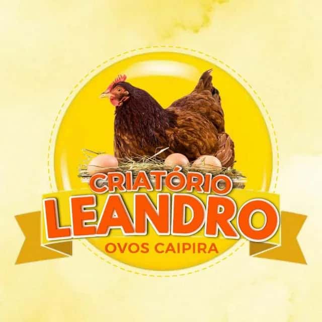 Criatório Leandro 3 — grupos de WhatsApp