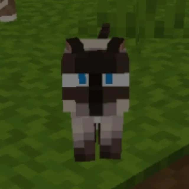 Minecraft TV Luis — grupos de WhatsApp