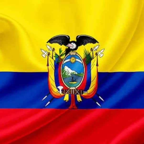 Noticias Políticas Ecuatoriana — grupos de WhatsApp