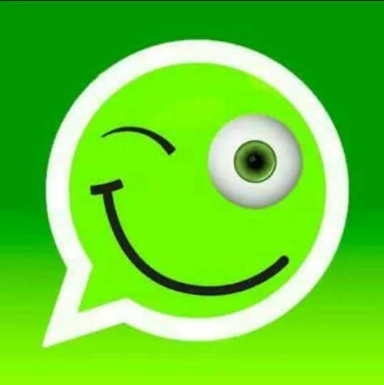 Vídeos & Figurinhas — grupos de WhatsApp