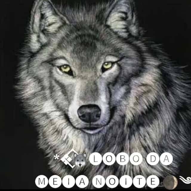 Lobo Da Meia Noite — grupos de WhatsApp
