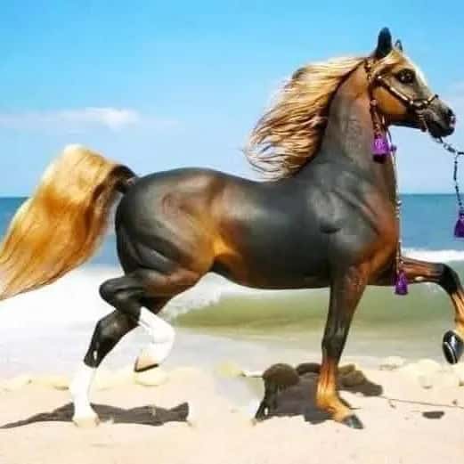 Gauchos Rodeos — grupos de WhatsApp