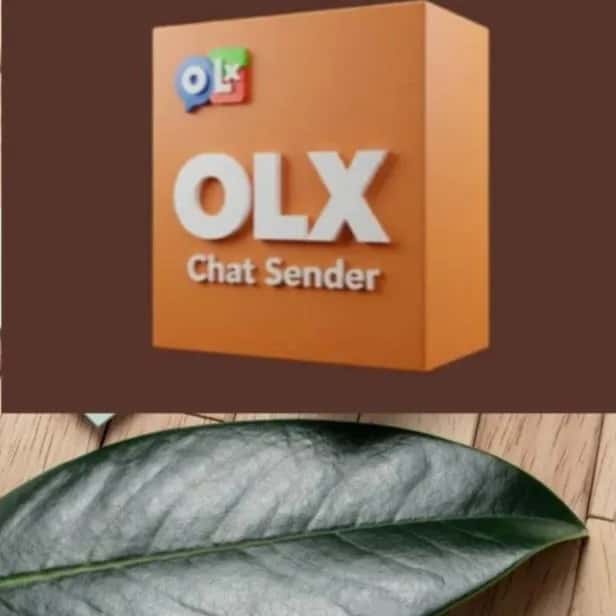 Olx SP Ddd 011 Ate 019 — grupos de WhatsApp