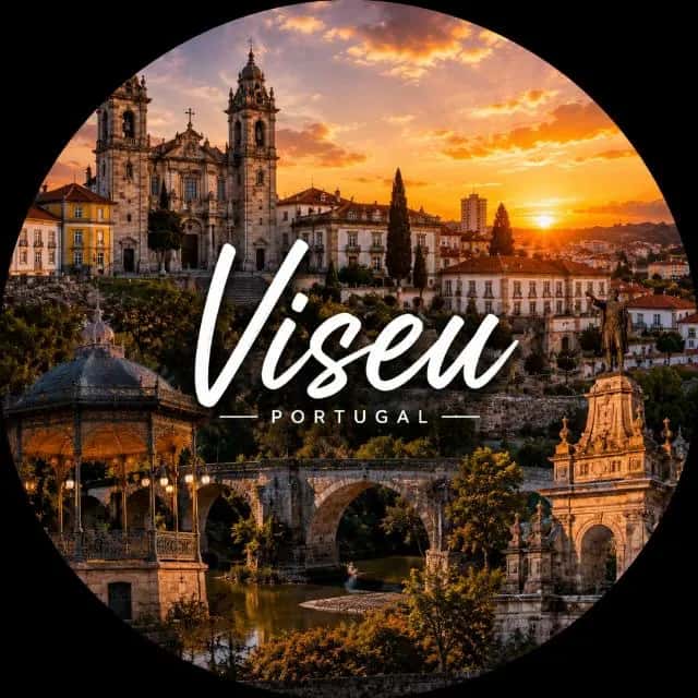 Viseu — grupos de WhatsApp