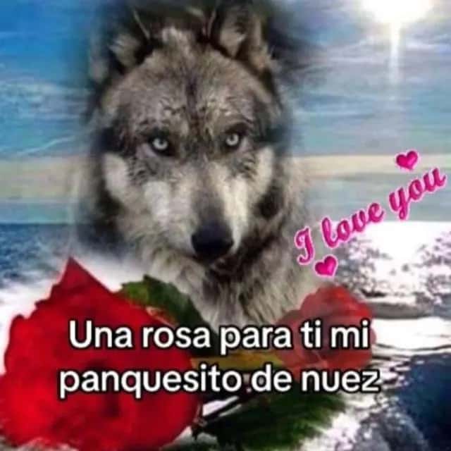 Amistad Virtual — grupos de WhatsApp