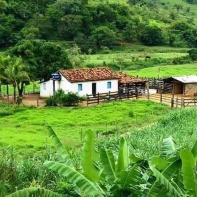 Papo Na Roça - Tudo De Bom — grupos de WhatsApp