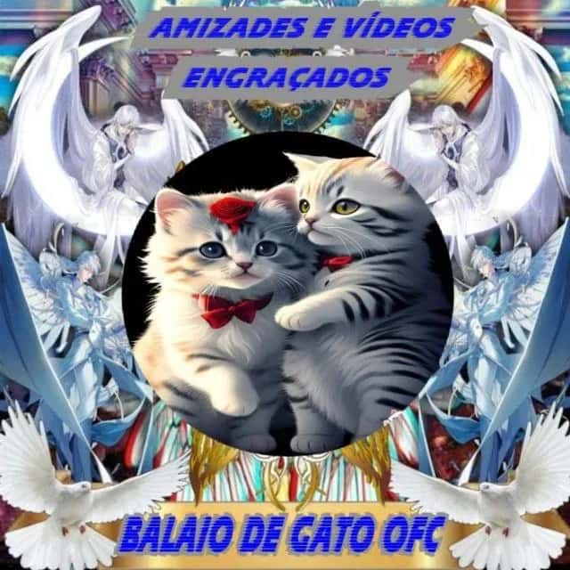 Amizades Vídeos Engraçados Balaio de Gato — grupos de WhatsApp