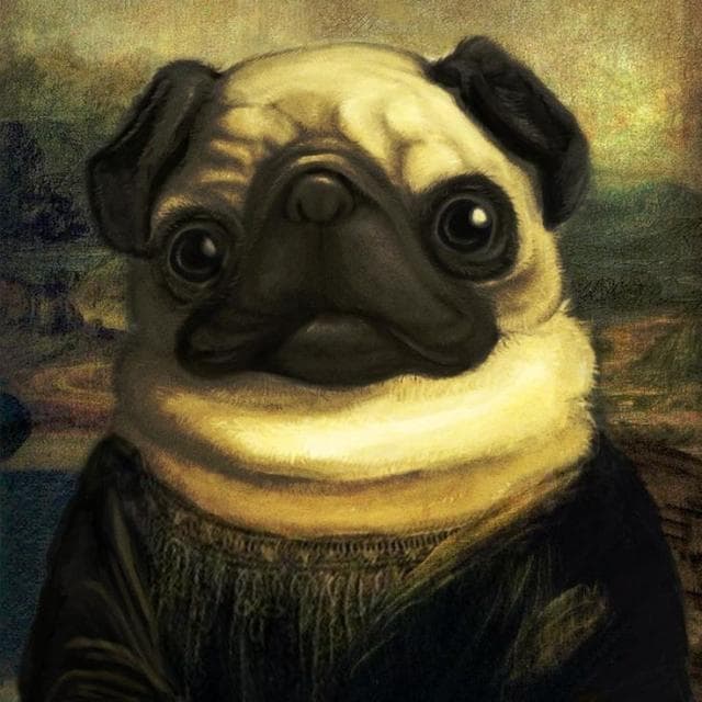 𝑍𝑈𝐸𝐼𝑅𝐴 𝑆𝐸𝑀 𝐹𝐼𝑀 — grupos de WhatsApp