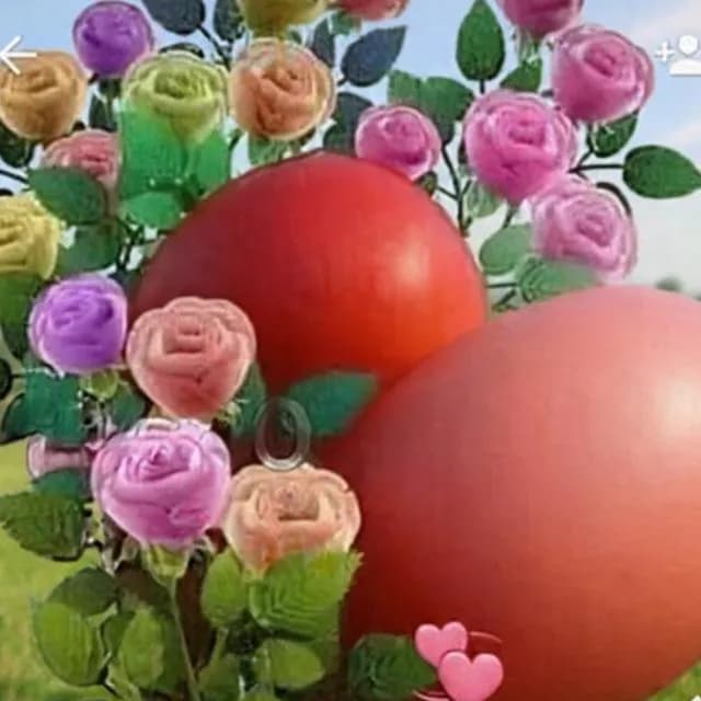 Amor Amizade Cristã