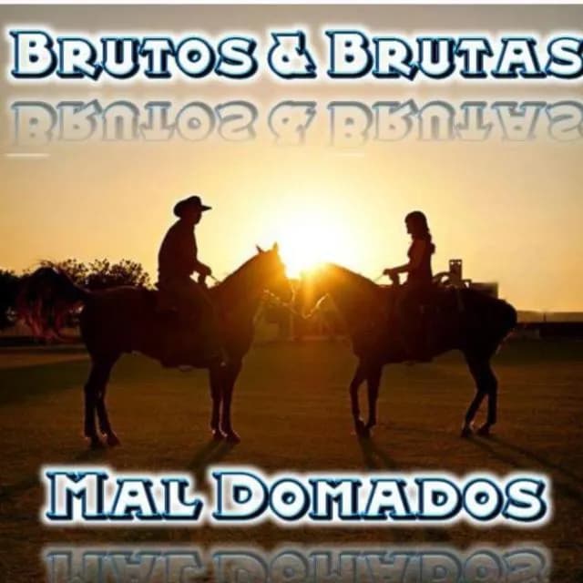 Brutos e Brutas Mal Domados