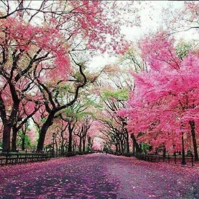 Frases & Stats — grupos de WhatsApp