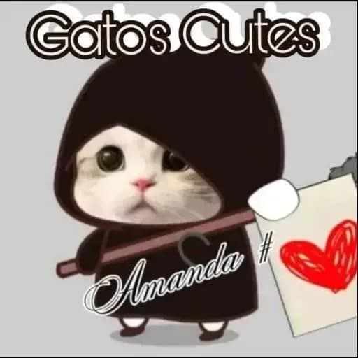 Gatos Cutes