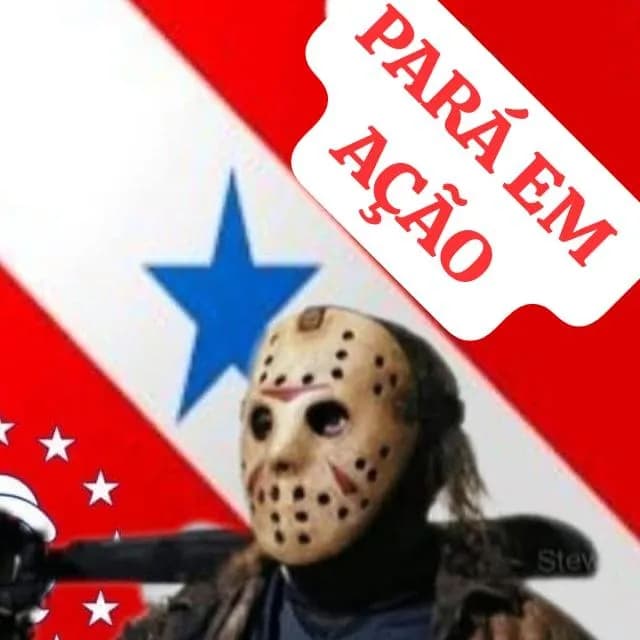 Pará Em Ação