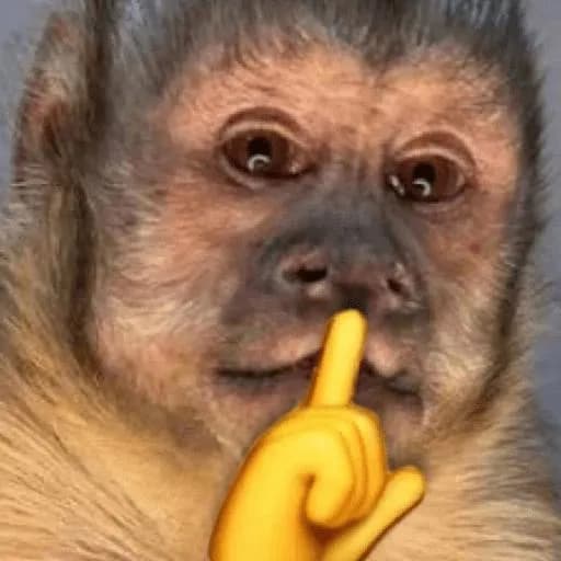 Chat e Figurinhas