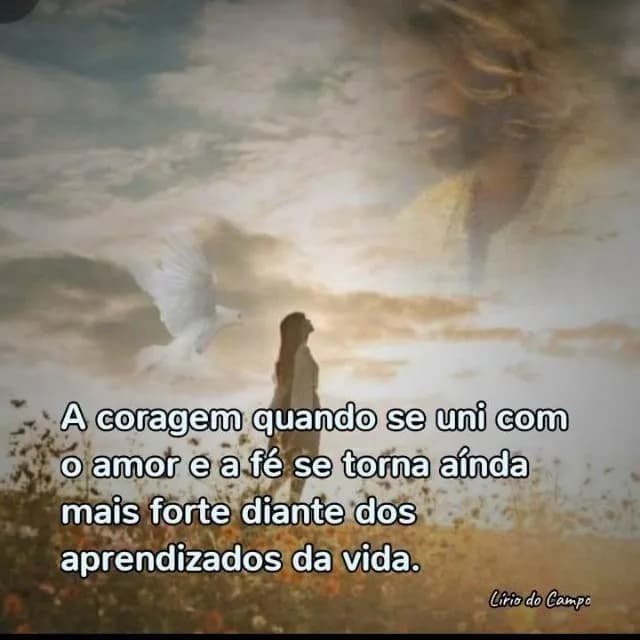 Lirio Do Campo