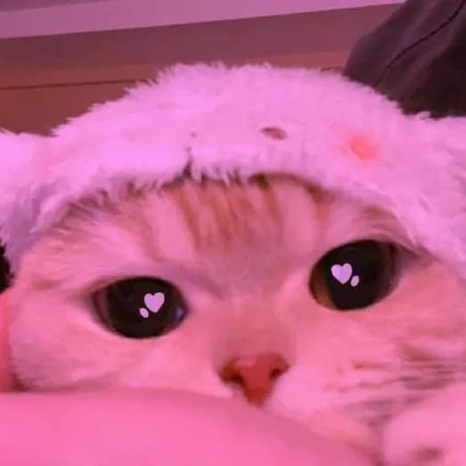 Crazy Lovers Chat — grupos de WhatsApp