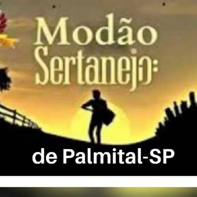 Modão Sertanejo Palmital