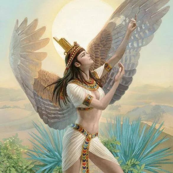 As Mais Belas Imagens — grupos de WhatsApp