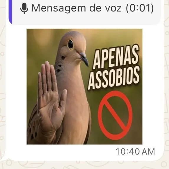 Assobio Brasil — grupos de WhatsApp