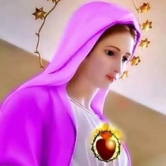 Caminhando Com Maria II