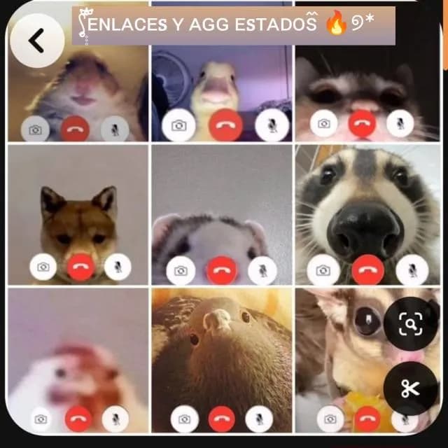 Enlaces Y Agg Estados