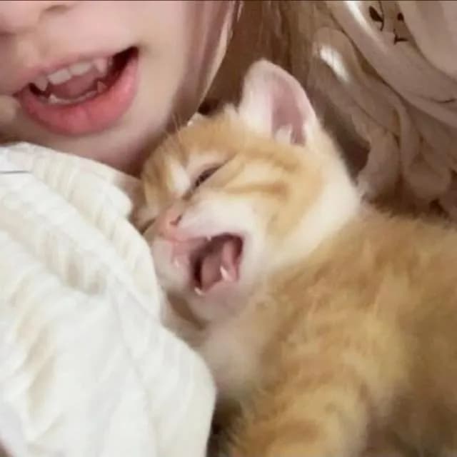 1❥ 𝗔𝗺𝗶𝘇𝗮𝗱𝗲𝘀 / 𝗙𝗶𝗴𝘂𝗿𝗶𝗻𝗵𝗮𝘀 (>_<)