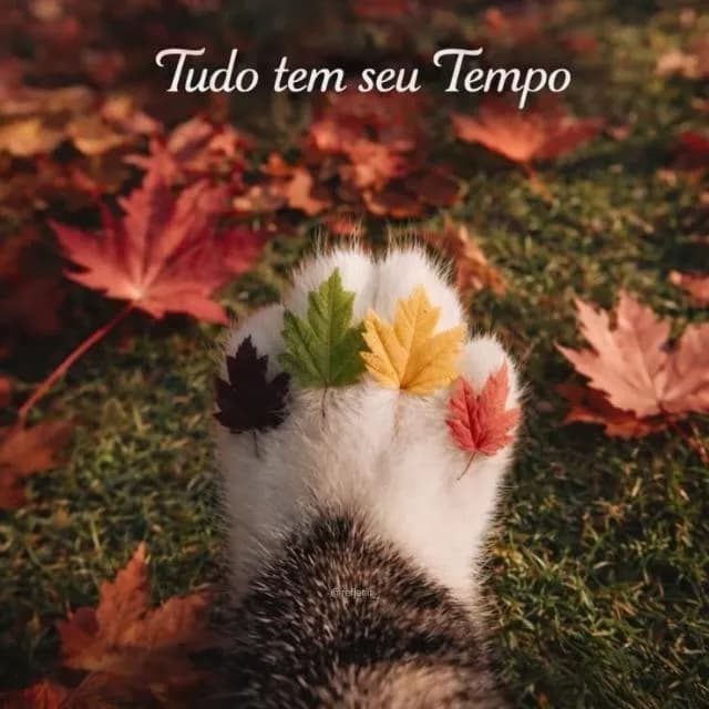 Motivação