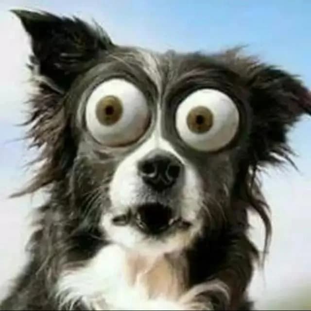 CrenDeusPai Zueira — grupos de WhatsApp