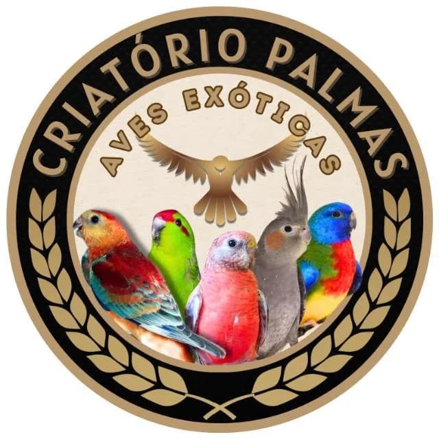 Aves Exóticas Palmas TO