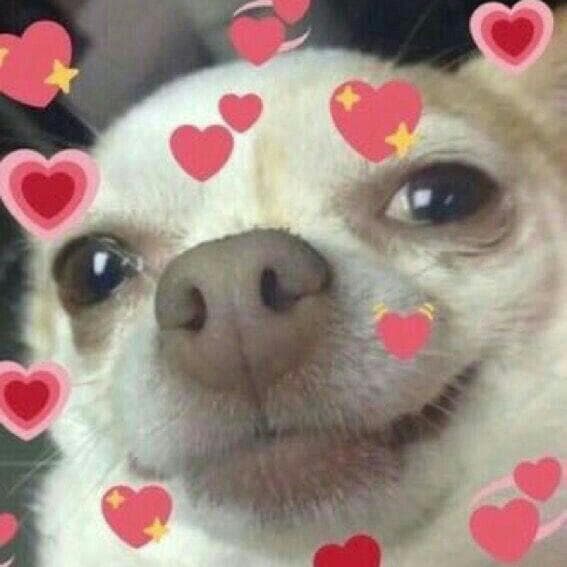 Amistad y Algo Mas — grupos de WhatsApp